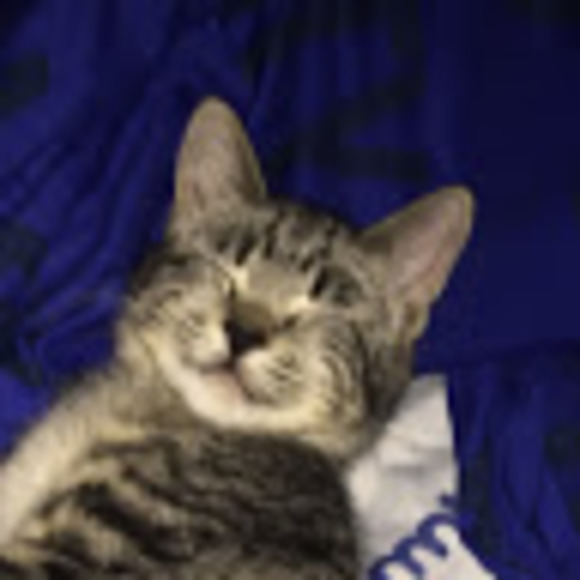 Meet your Posher, Matthew - Picture 1 of 1